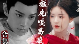 第1598天：猛虎嗅蔷薇，他在热爱中找到自由