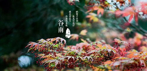 #春季最后一个节气谷雨# 谷雨时节与百度AI的奇妙碰撞