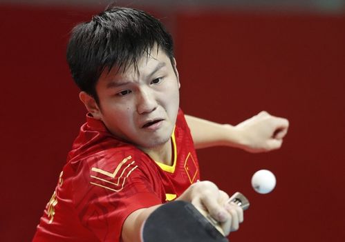 樊振东：国乒的骄傲与球迷心中的偶像