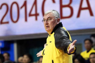 王大雷赛后拒绝与裁判握手：一场风波背后的真相