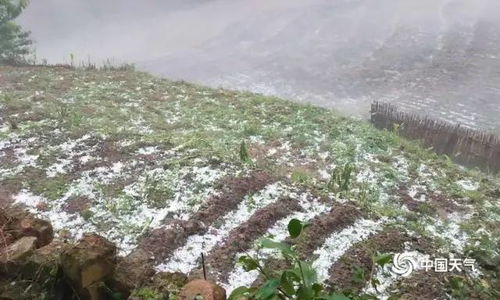 广西河池遭遇冰雹大风天气，村民直呼太吓人！