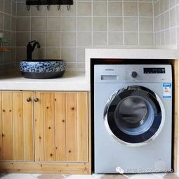 16楼住户洗衣机中现活蛇，家人被吓哭：惊悚一幕背后的故事