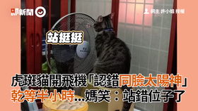 起床后第一件事就是看金价，黄金投资热潮背后的故事