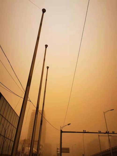 停滞近10年，“中国北方第一高楼”要复工了！