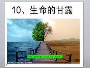 生命PPT10：无意识囤货背后的深层思考