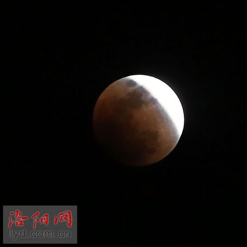 超高清的视界到底有多美