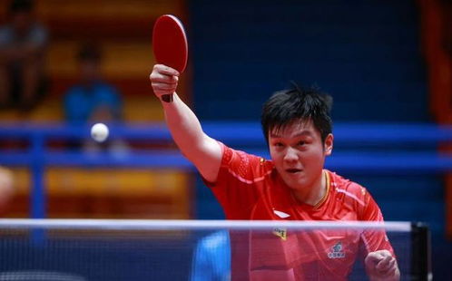 林诗栋迎战卡尔德拉诺！孙颖莎蒯曼决赛会师澳门世界杯