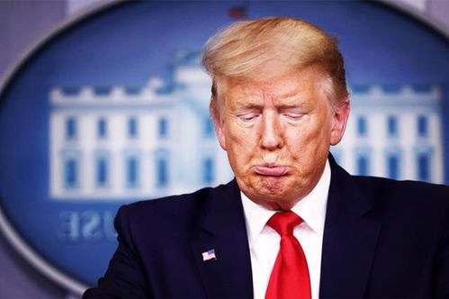 美前总统集体发声，拜登怒批特朗普政策