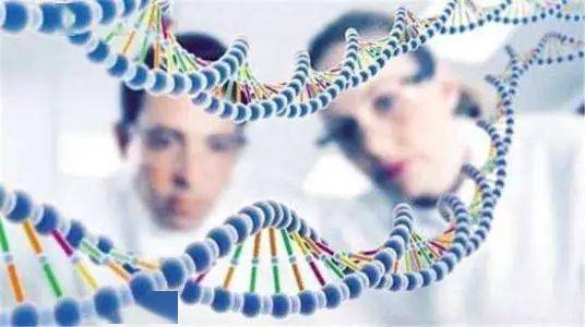 医疗AI的未来：每因智能获千万元级种子轮融资