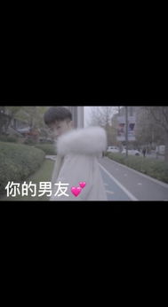 将就着过吧，生活总得向前