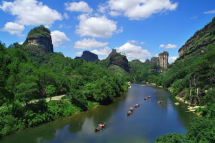 大武夷有什么？一场文化与茶香的邂逅