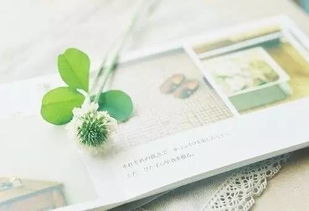 第66篇：我真心不想再熬夜了，可生活总逼着我这样做