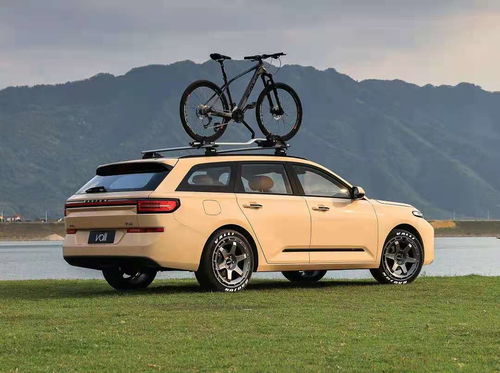 尼格买提开宝骏带你去追风：一场说走就走的自由之旅