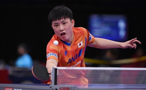 雨果夺冠为男乒敲响警钟：王楚钦的遗憾与未来展望