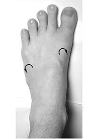 大脚趾的律动：解锁身体健康的秘密