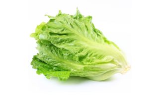 玻璃生菜的秘密：一场科技与自然的完美邂逅