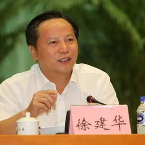 广东省东莞市委原书记徐建华被双开：权力与贪欲的代价