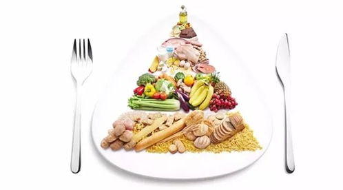 与食物和解，开启真正的减肥之旅