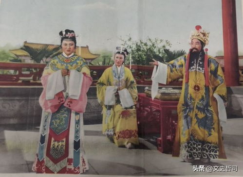 从《打金枝》到家族史诗：历史与文学的双重解读