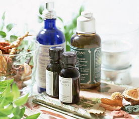 真相揭秘：精油如何穿透皮肤？