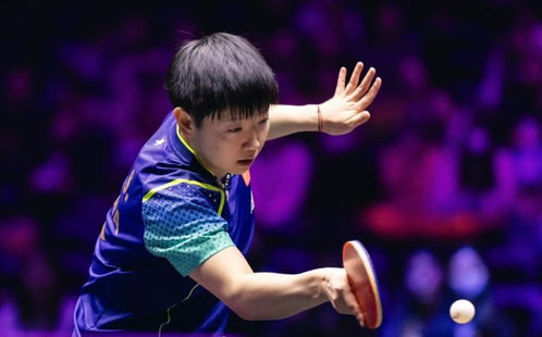 孙颖莎与雨果自拍合影背后：赛场内外的温情瞬间