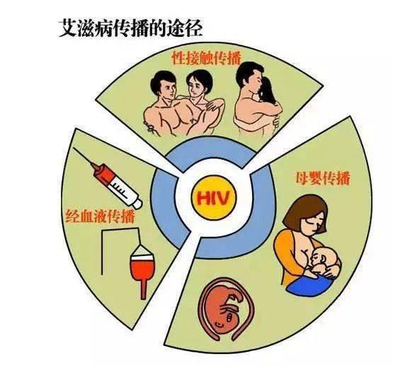 专家辟谣：蚊子挑人靠血型？真相竟是这样！