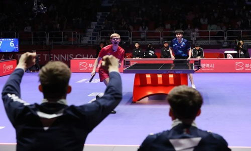 中国男乒世界杯首丢冠，八年荣耀背后的故事