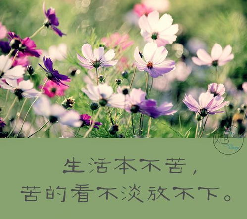 尽力而为，问心无愧：王女士的感悟与选择