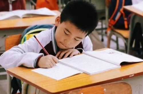 孩子阅读时间被压缩？家长的困惑与解决之道