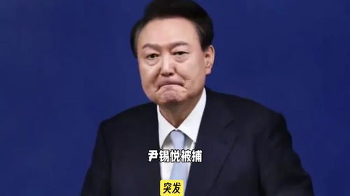 韩国前总统尹锡悦涉内乱罪案：法庭首度公开审理细节