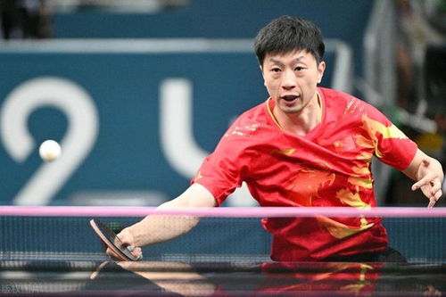 马龙樊振东陈梦为何选择不参加多哈世乒赛？