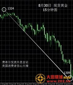 金价30个月翻倍，我的投资抉择与黄金市场的风云变幻
