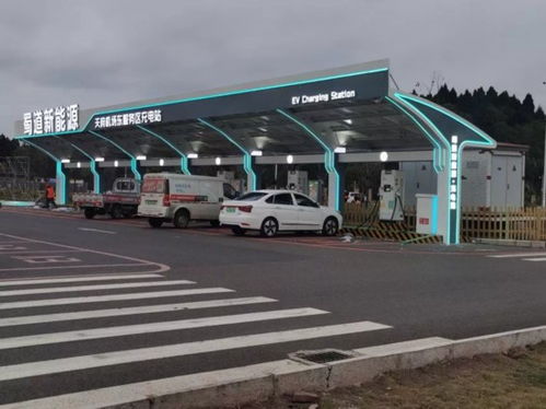 四川高速服务区惊现大量死鸟，真相竟是这样！