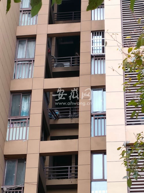 7楼8楼闹矛盾，9楼住户“躺枪”被震楼3年：我的亲身经历