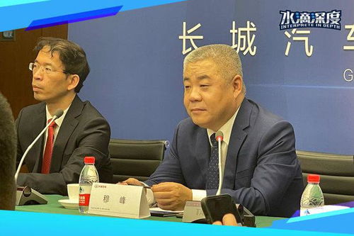 长城汽车总裁穆峰：打死不做增程，独挡混联才是未来？