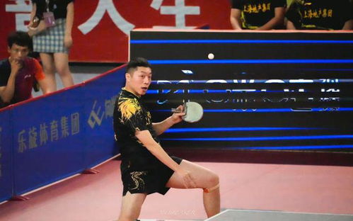 乒乓球太卷了！从饭圈文化到国球的未来