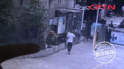 25楼坠落奇迹生还：9岁女童的惊魂一刻与坚强重生