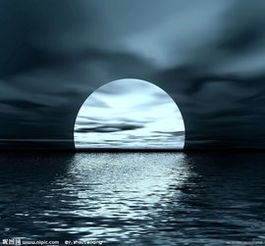 书间的月光：那些藏在文字里的温柔时光