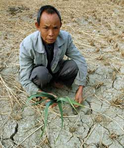 广西旱情告急：8.3万人饮水困难，干旱影响超50县区