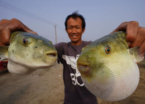 55岁鱼王的骄傲：孙子考全县第一背后的辛勤与传承