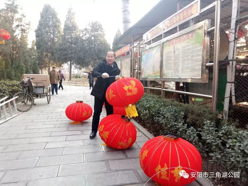 重庆荣昌的卤鹅与鲜花：一场味觉与视觉的双重盛宴