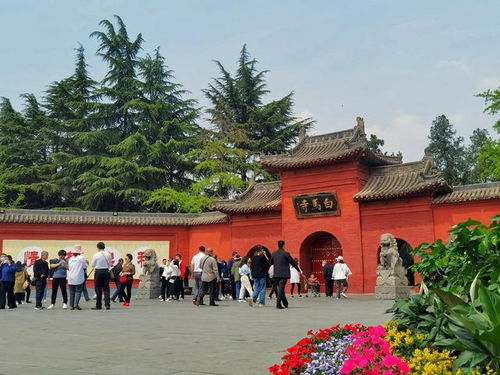 洛阳文旅确认：白马寺内竟是狄仁杰之墓？