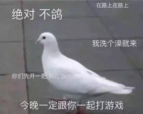 又放鸽子了？从巴菲特午餐到罗尔事件，人性的考验从未停止