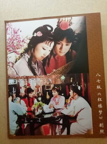 陈丽君拷问大观园幕后：一场关于艺术与版权的争议