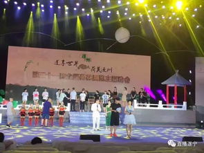 第三十一届网络展览会在京开幕，科技与未来的交汇点