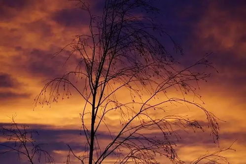 秋天的黄昏：一场与自然的深情对话