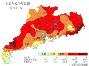 广西特旱面积超六成！干旱下的生活与抗旱故事