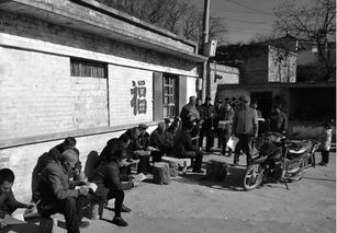 超高清走入千家万户：微博音频创作者的崛起之路