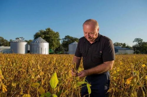 稀土大战：美国“独苗”MP Materials的困境与出路