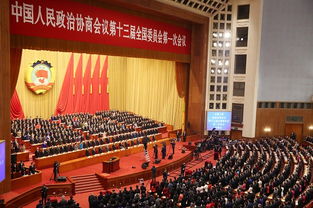 大国睦邻：新时代外交的温暖篇章